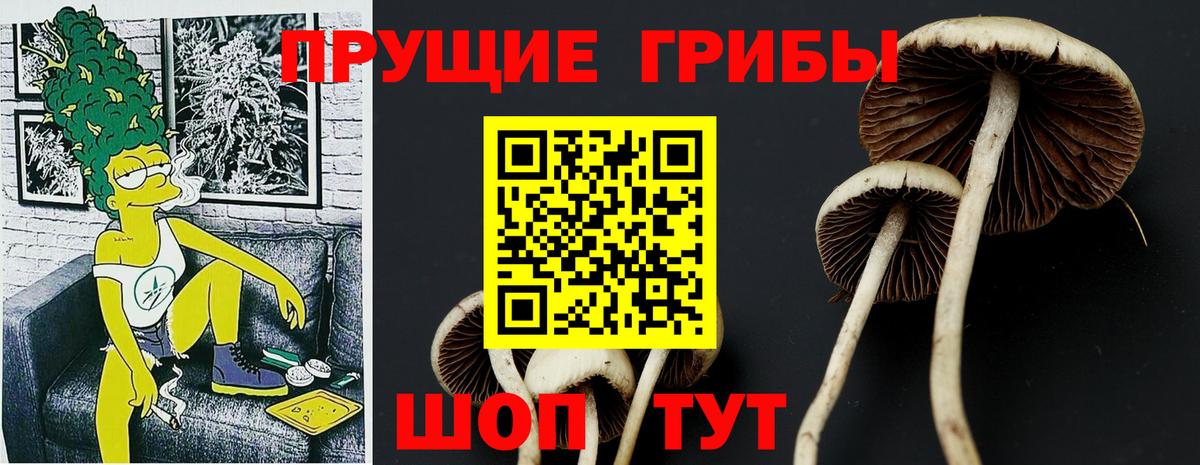 Псилоцибиновые грибы прущие грибы Моздок