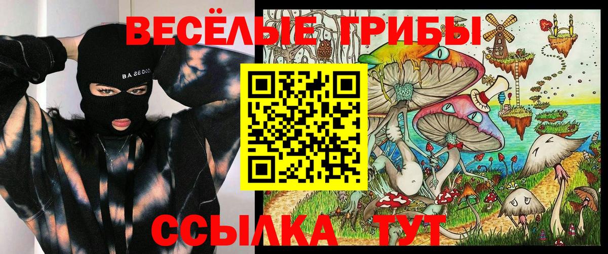 Моздок  Псилоцибиновые грибы Psilocybine cubensis  купить закладку  Псилоцибиновые грибы GOLDEN TEACHER  Вход с VPN 